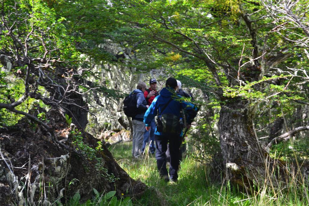 Adventure Domes Glamping Ξενοδοχείο Colonia Francisco Perito Moreno Εξωτερικό φωτογραφία