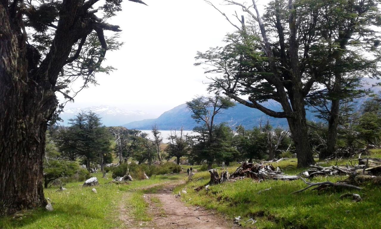 Adventure Domes Glamping Ξενοδοχείο Colonia Francisco Perito Moreno Εξωτερικό φωτογραφία